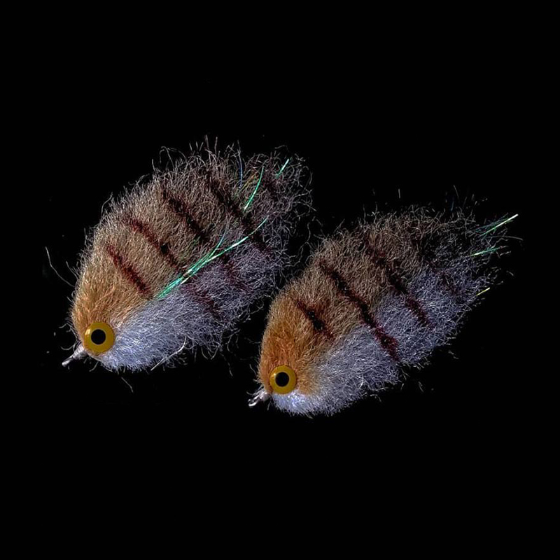 CONTEMPLATOR 2 bags/pack Flieg – Fishing Equipment Fly Bewertung und Preis